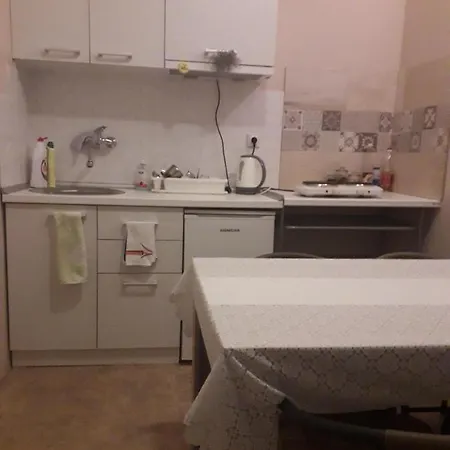 Casa de hóspedes Dimitrije Niska Banja