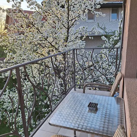 Konukevi Dimitrije *