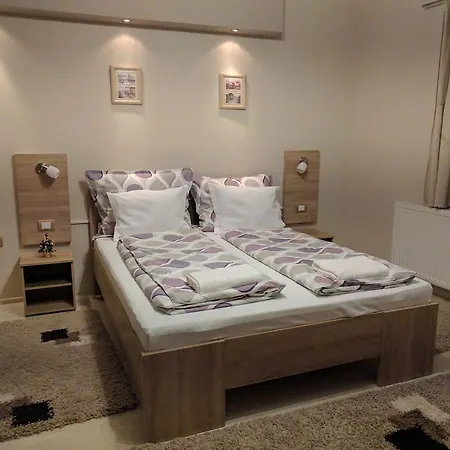 Dimitrije Casa de hóspedes Niska Banja