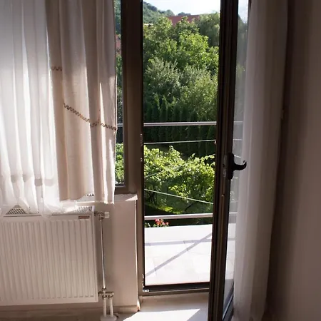 Casa de hóspedes Dimitrije Niska Banja